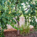 Giardino Segreto 住宿加早餐酒店 普蒂尼亚诺