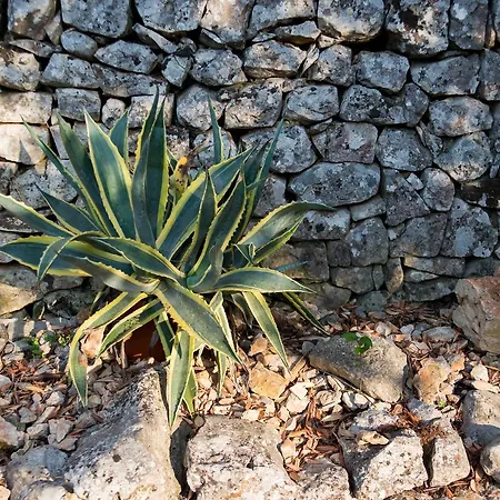 住宿加早餐酒店 Giardino Segreto 4*