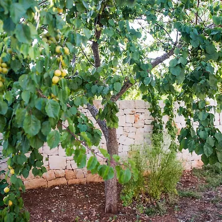 Giardino Segreto Alojamento de Acomodação e Pequeno-almoço Putignano