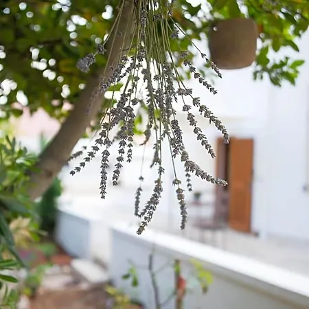 Giardino Segreto 푸티냐노