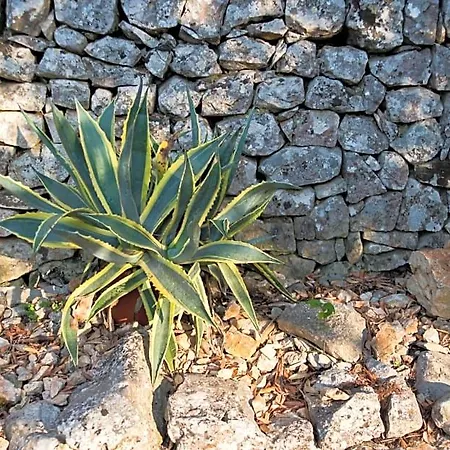 Giardino Segreto Putignano