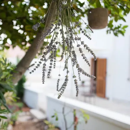 Giardino Segreto 4* Putignano