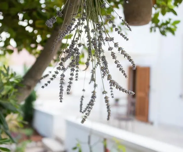 Giardino Segreto 4* Putignano