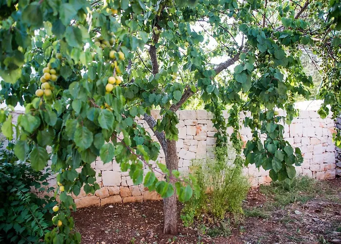 Giardino Segreto Bed and breakfast Putignano